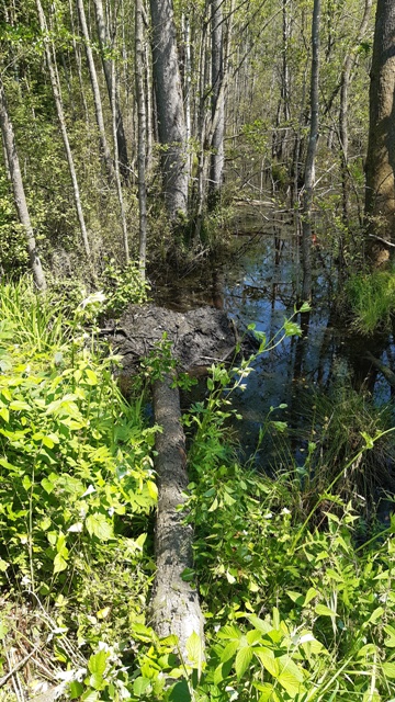 20210718_141358 groß.jpg